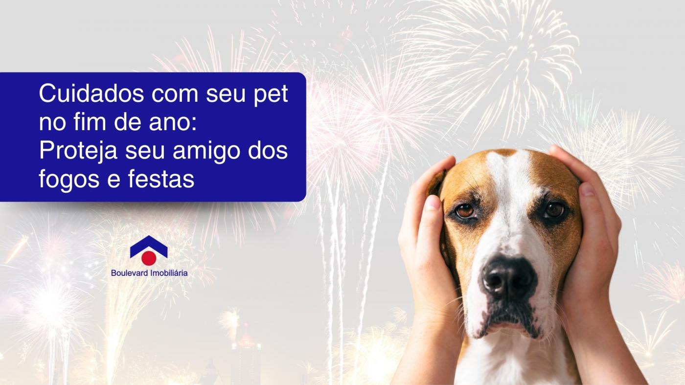 Cuidados com seu pet no fim de ano: Proteja seu amigo dos fogos e festas